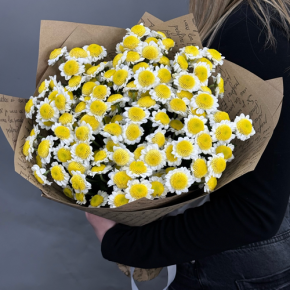 Букет "Моё солнышко" из 11 хризантем сантини  в Жуковском