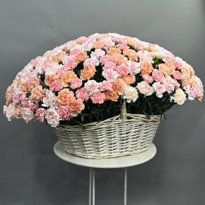 Композиция в корзине из 251 диантуса микс в Жуковском