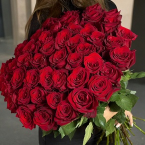 Букет 51 роза Эквадор Эксплорер (70 см) в Жуковском