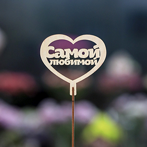 Топпер Самой Любимой в Жуковском