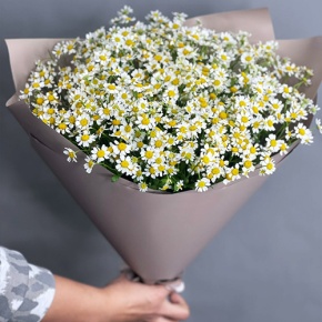 Букет из 17 ромашек танацетум в Жуковском