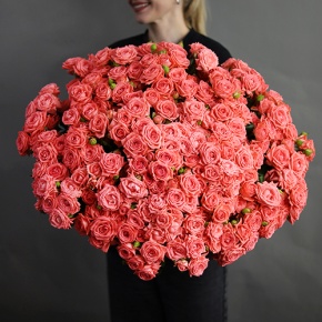 Букет из 39 коралловых кустовых роз (50 см) в Жуковском