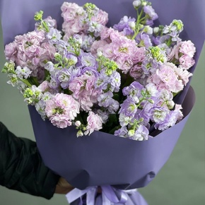 Букет из 15 ароматных маттиол микс в Жуковском