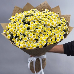 Букет "Моё солнышко" из 31 хризантемы сантини  в Жуковском