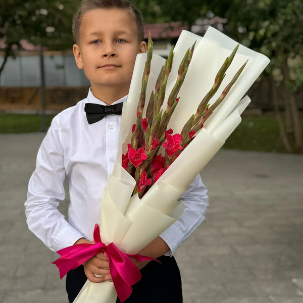 Букет на 1 сентября из 7 малиновых гладиолусов в Жуковском