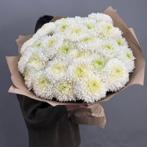 Букет из 27 хризантем Магнум в Жуковском