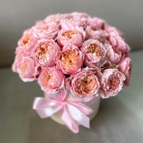 Композиция в шляпной коробке из кустовой пионовидной розы Джульетта в Жуковском