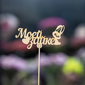 Топпер моей зайке в Жуковском