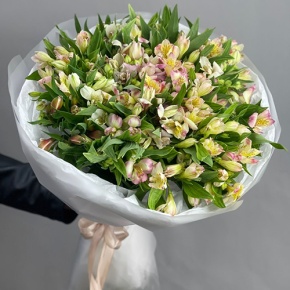 Букет "Зарина" из 37 альстромерий микс в Жуковском