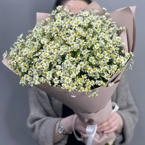 Букет из 17 полевых ромашек в Жуковском