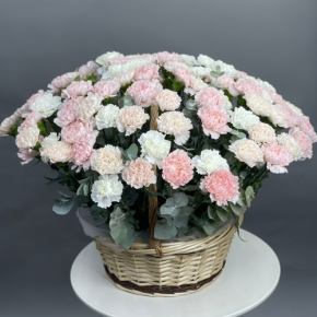 Композиция в корзине из 101 диантуса микс в Жуковском