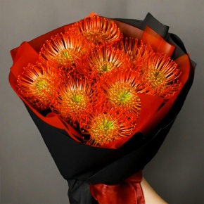 Букет из 9 лейко в Жуковском