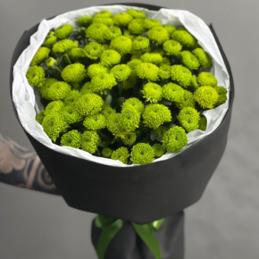 Стильный букет "Лайм" из 15 хризантем сантини в Жуковском