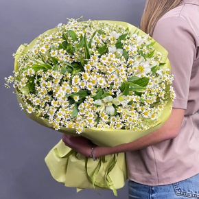 Букет из альстромерий и ромашек в Жуковском