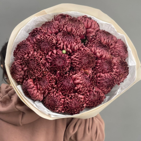 Букет 21 шоколадной хризантемы Бигоуди в Жуковском