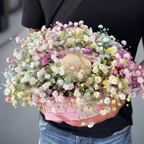 Композиция в коробке сердца из радужных гипсофил с топпером в Жуковском