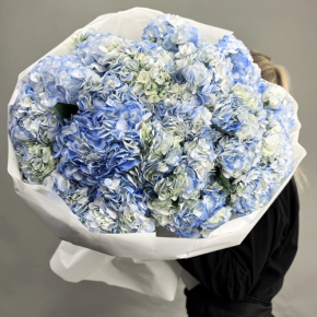 Букет из 23 синих гортензий в Жуковском