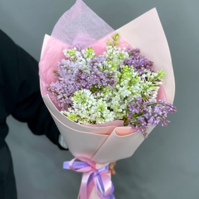 Букет из 11 веток сирени микс в Жуковском