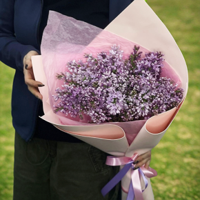 Букет из 11 веток сирени в Жуковском