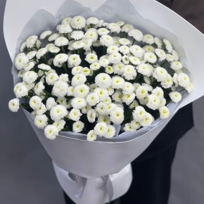 Букет "Белая дымка" из 25 хризантем сантини в Жуковском