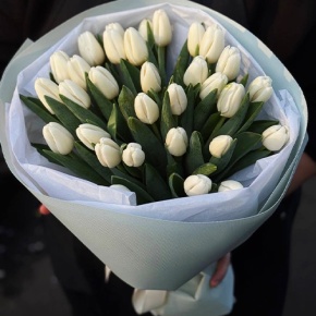 Букет из 31 белого тюльпана в Жуковском