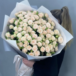 Букет из 25 кремовых кустовых роз (70 см) в Жуковском