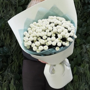 Букет из 25 хризантем Ньютон в Жуковском