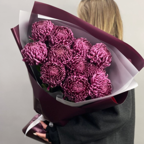 Букет "Изобилие" из 11 винных хризантем Бигоуди в Жуковском