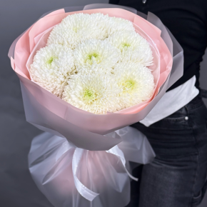 Нежный букет из 7 хризантем Магнум в Жуковском