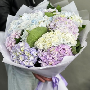 Букет из 9 Голландских гортензий микс в Жуковском