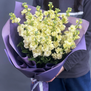 Букет из 15 лимонных маттиол в Жуковском