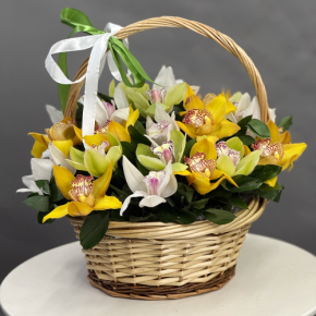 Композиция в корзине из 25 орхидей микс в Жуковском