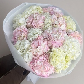Букет из 17 нежных гортензий в Жуковском