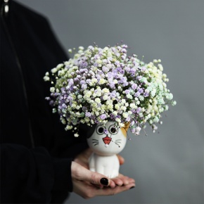 Композиция из гипсофил в керамическом кашпо в Жуковском