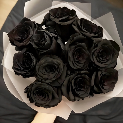 Букет "Черная королева" из 11 черных роз Эквадор (60 см) в Жуковском