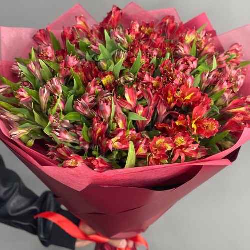 Монобукет из 25 красных альстромерий в Жуковском