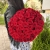 Букет 51 красной розы 50 см в Жуковском