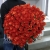 Букет 101 коралловая роза (60 см) в Жуковском