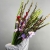 Букет из 25 гладиолусов микс в Жуковском