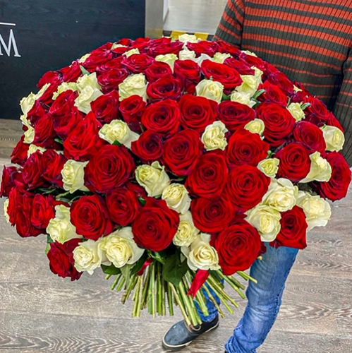 Букет 151 роза красный и белый микс (60 см) в Жуковском