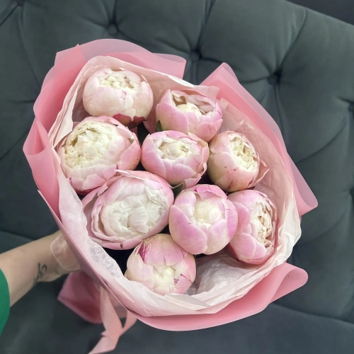 Букет из 9 нежных пионов Гардения в Жуковском