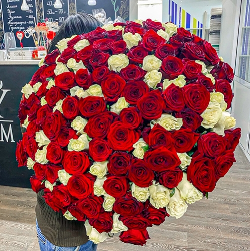 Букет 151 роза красный и белый микс (60 см) в Жуковском