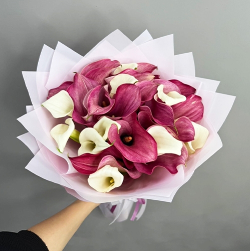 Букет из 25 нежных калл в Жуковском