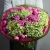 Букет "Мармеладный" из Голландских гортензий и пионовидных кустовых роз в Жуковском Букет "Мармеладный" из Голландских гортензий и пионовидных кустовых роз в Жуковском