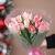 Букет "Фламинго" из 11 пионовидных тюльпанов в Жуковском