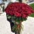 Букет из 101 красной розы (90 см) в Жуковском