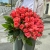 Букет 51 роза коралл (60 см) в Жуковском