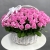 Композиция в корзине из 101 розовой розы Аква (40 см) в Жуковском Композиция в корзине из 101 розовой розы Аква (40 см) в Жуковском