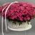 Композиция в корзине из 101 кустовой малиновой розы в Жуковском Композиция в корзине из 101 кустовой малиновой розы в Жуковском